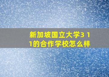 新加坡国立大学3 1 1的合作学校怎么样